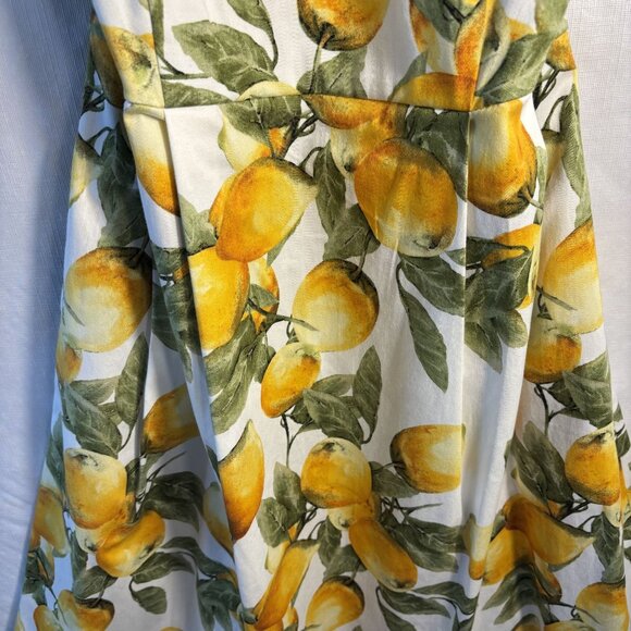 Anne Klein Lemon Print Sleeveless Fit & Flare Dress With Waist Tie Size 6 White/ - Picture 4 of 11
